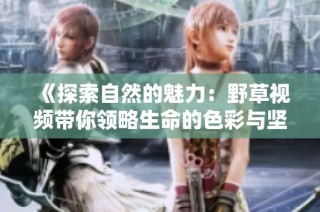 《探索自然的魅力：野草视频带你领略生命的色彩与坚韧》