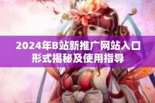 2024年B站新推广网站入口形式揭秘及使用指导
