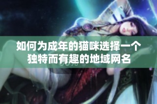 如何为成年的猫咪选择一个独特而有趣的地域网名