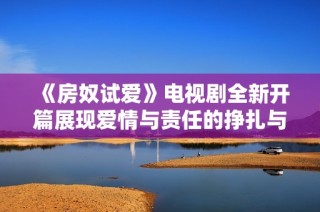 《房奴试爱》电视剧全新开篇展现爱情与责任的挣扎与抉择