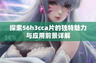 探索56h3cca片的独特魅力与应用前景详解