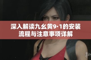 深入解读九幺黄9·1的安装流程与注意事项详解