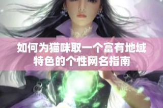 如何为猫咪取一个富有地域特色的个性网名指南