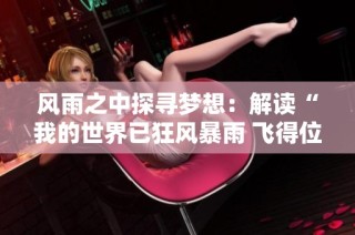 风雨之中探寻梦想：解读“我的世界已狂风暴雨 飞得位”的深层含义