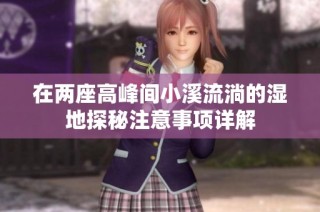 在两座高峰间小溪流淌的湿地探秘注意事项详解