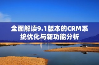 全面解读9.1版本的CRM系统优化与新功能分析