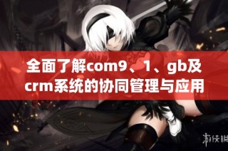 全面了解com9、1、gb及crm系统的协同管理与应用策略