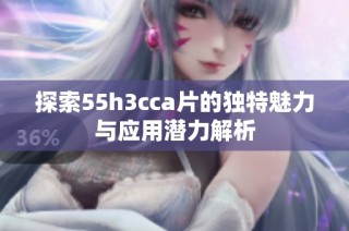 探索55h3cca片的独特魅力与应用潜力解析