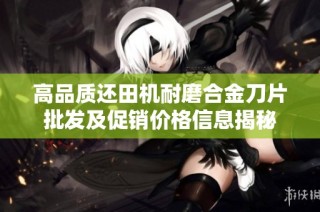 高品质还田机耐磨合金刀片批发及促销价格信息揭秘