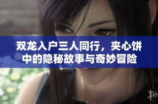 双龙入户三人同行，夹心饼中的隐秘故事与奇妙冒险