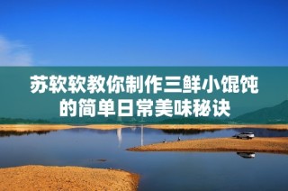 苏软软教你制作三鲜小馄饨的简单日常美味秘诀