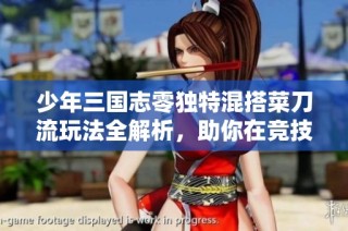 少年三国志零独特混搭菜刀流玩法全解析，助你在竞技中立于不败之地