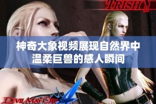 神奇大象视频展现自然界中温柔巨兽的感人瞬间