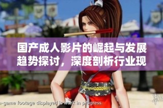 国产成人影片的崛起与发展趋势探讨，深度剖析行业现状与未来