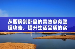从厨房到卧室的高效家务整理攻略，提升生活品质的实用技巧