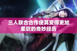 三人联合合作使其变得更加柔软的奇妙经历