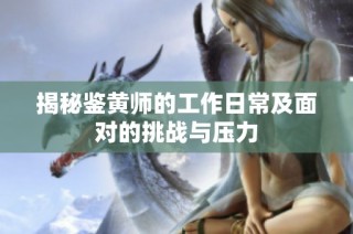 揭秘鉴黄师的工作日常及面对的挑战与压力