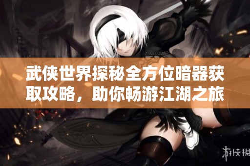 武侠世界探秘全方位暗器获取攻略，助你畅游江湖之旅