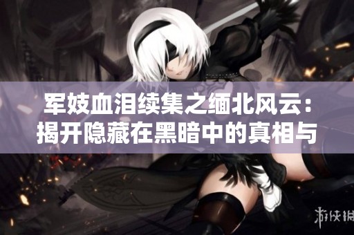 军妓血泪续集之缅北风云：揭开隐藏在黑暗中的真相与勇气