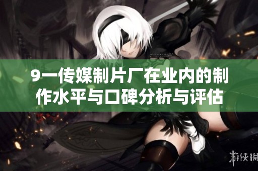 9一传媒制片厂在业内的制作水平与口碑分析与评估