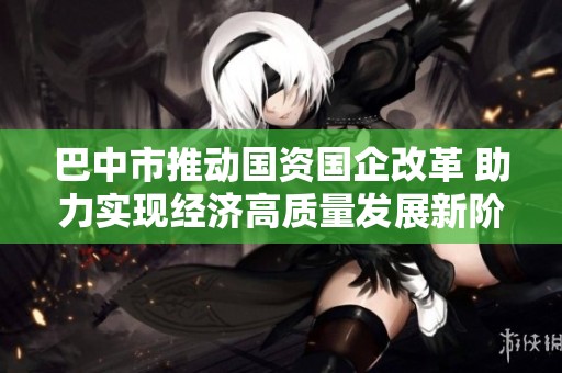 巴中市推动国资国企改革 助力实现经济高质量发展新阶段