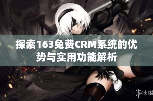 探索163免费CRM系统的优势与实用功能解析