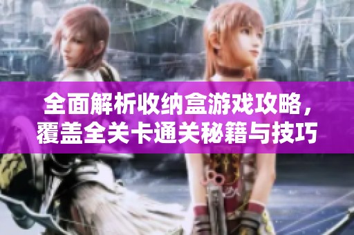 全面解析收纳盒游戏攻略，覆盖全关卡通关秘籍与技巧分享