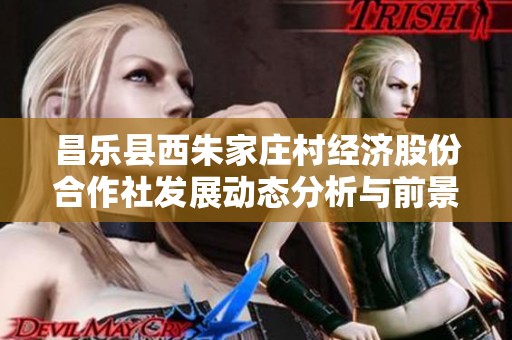 昌乐县西朱家庄村经济股份合作社发展动态分析与前景展望