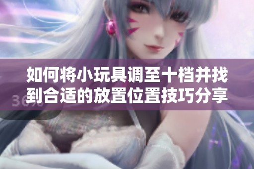 如何将小玩具调至十档并找到合适的放置位置技巧分享