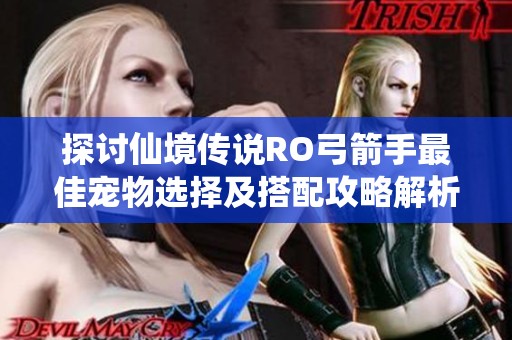 探讨仙境传说RO弓箭手最佳宠物选择及搭配攻略解析