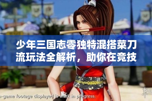 少年三国志零独特混搭菜刀流玩法全解析，助你在竞技中立于不败之地