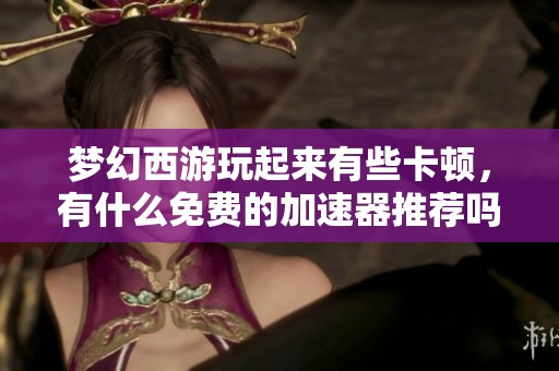梦幻西游玩起来有些卡顿，有什么免费的加速器推荐吗