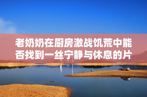 老奶奶在厨房激战饥荒中能否找到一丝宁静与休息的片刻