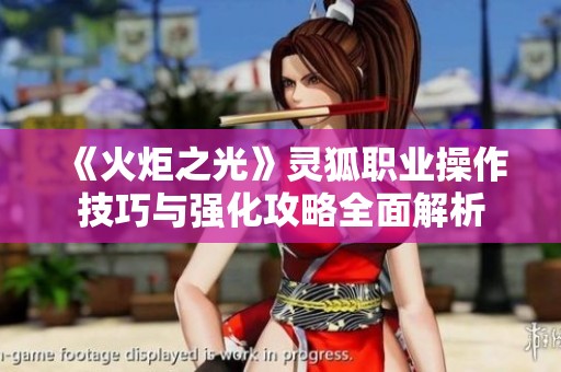 《火炬之光》灵狐职业操作技巧与强化攻略全面解析
