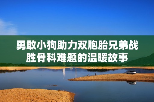 勇敢小狗助力双胞胎兄弟战胜骨科难题的温暖故事
