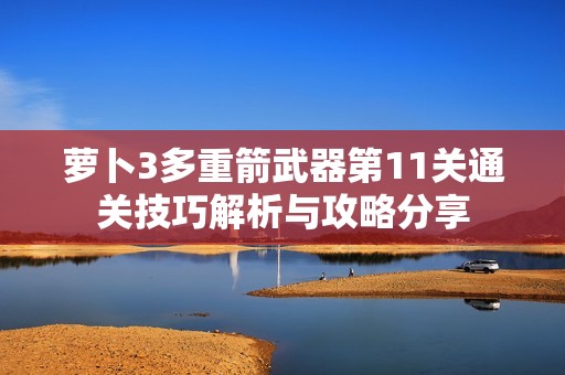 萝卜3多重箭武器第11关通关技巧解析与攻略分享