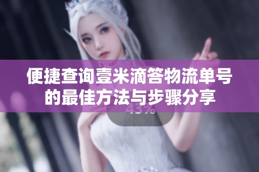 便捷查询壹米滴答物流单号的最佳方法与步骤分享