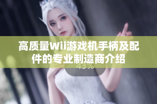 高质量Wii游戏机手柄及配件的专业制造商介绍