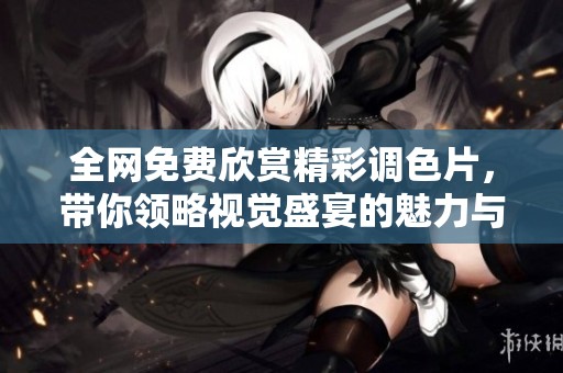 全网免费欣赏精彩调色片，带你领略视觉盛宴的魅力与创意