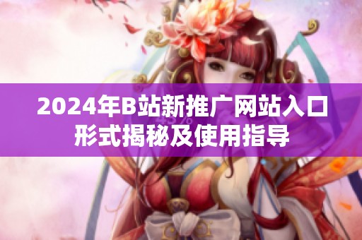 2024年B站新推广网站入口形式揭秘及使用指导