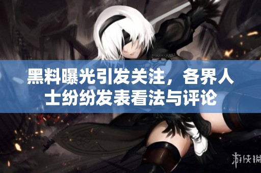 黑料曝光引发关注，各界人士纷纷发表看法与评论