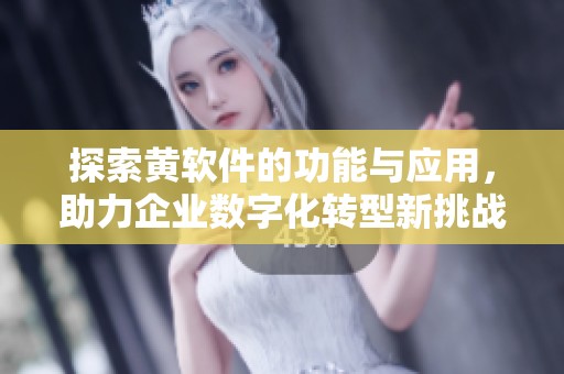 探索黄软件的功能与应用，助力企业数字化转型新挑战
